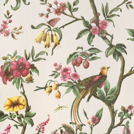 Bild på Birds of Paradise - 220446