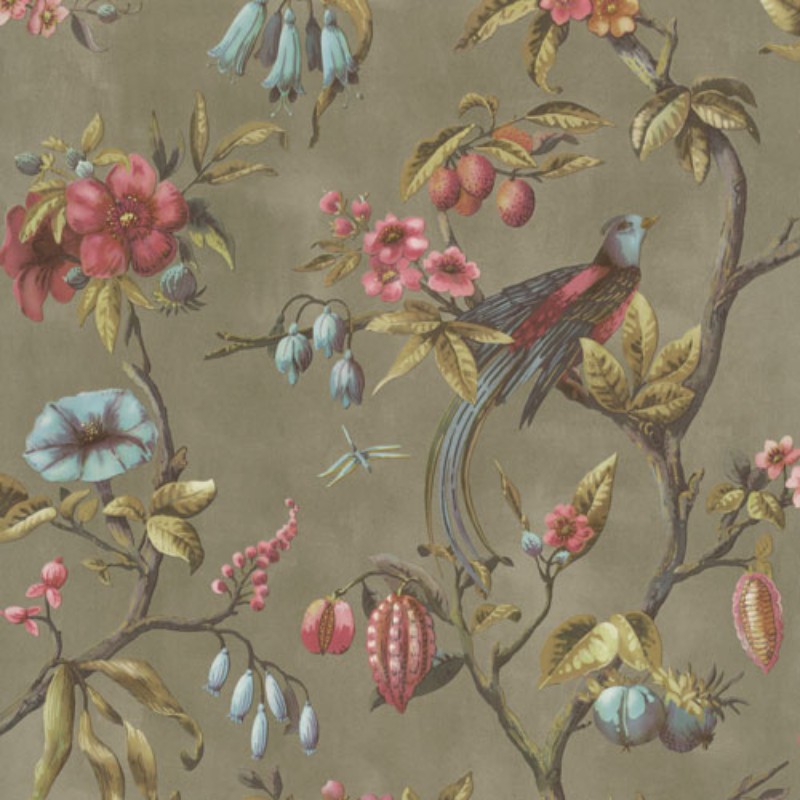 Picture of Birds of Paradise - 220445