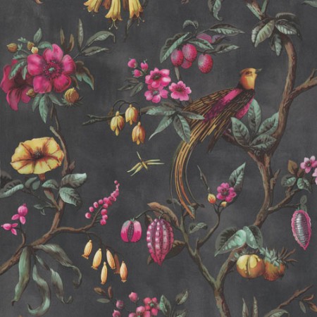 Bild på Birds of Paradise - 220441