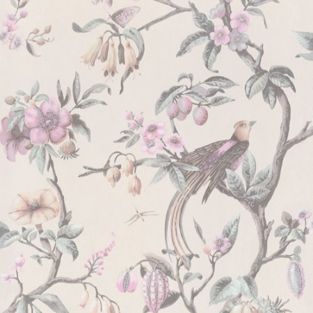 Bild på Birds of Paradise - 220440