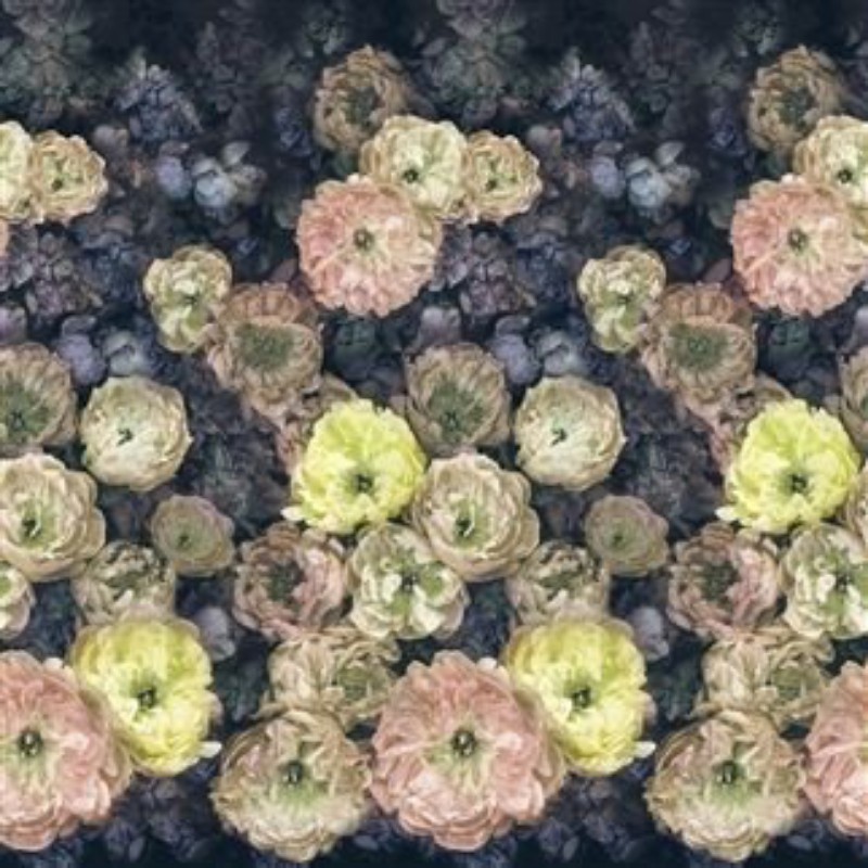 Picture of LE POEME DE FLEURS MIDNIGHT - PDG1107/02