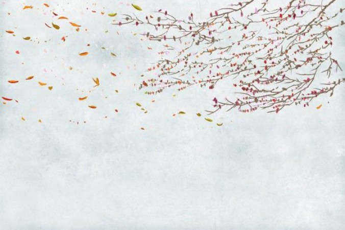 Picture of Core - 6600087