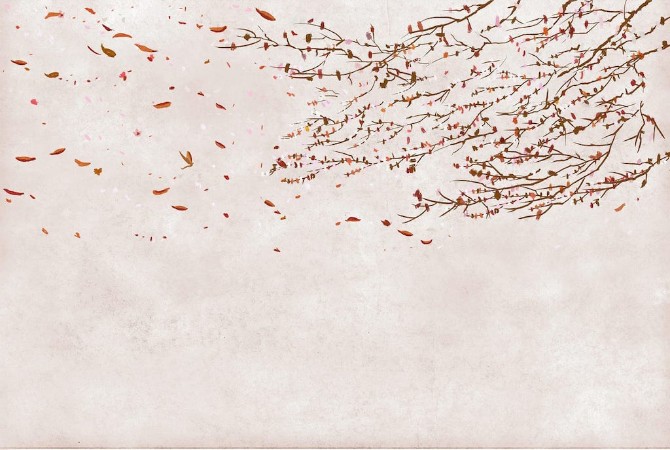 Picture of Core - 6600086