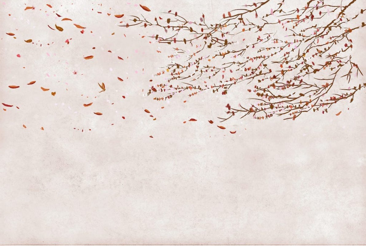 Picture of Core - 6600086