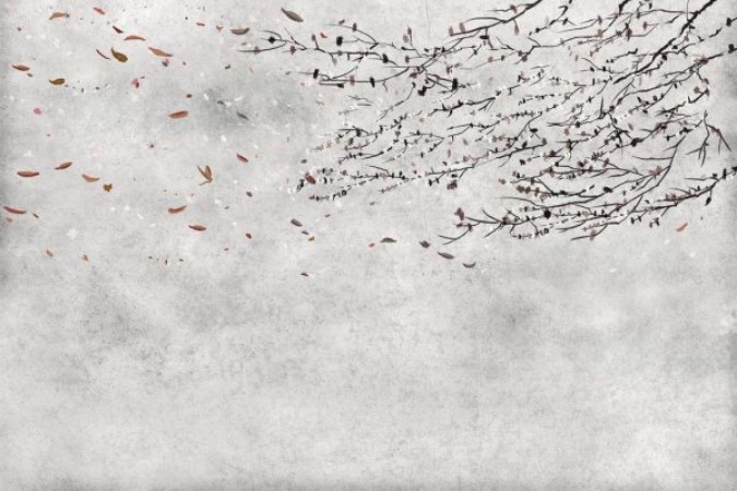 Picture of Core - 6600085