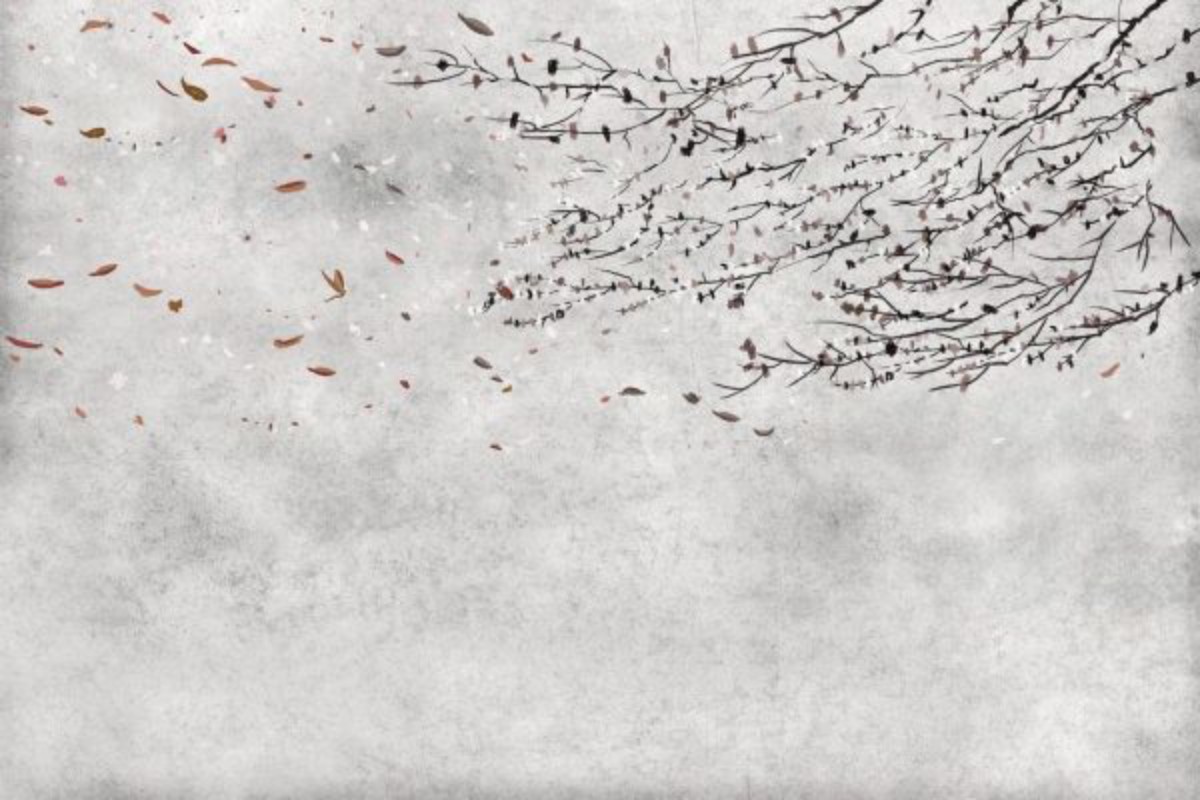 Picture of Core - 6600085