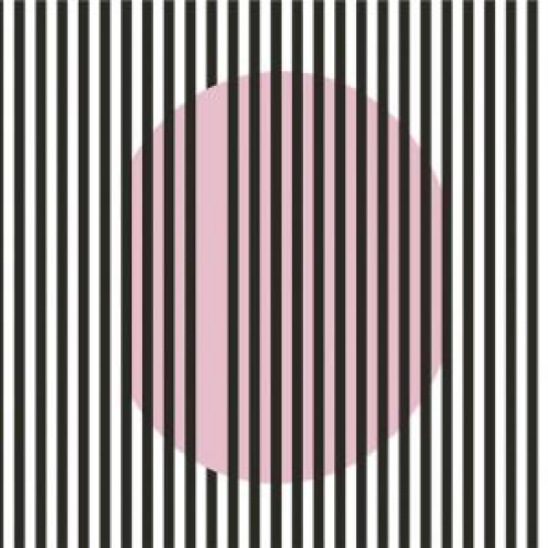 Bild på Anima - 5900084