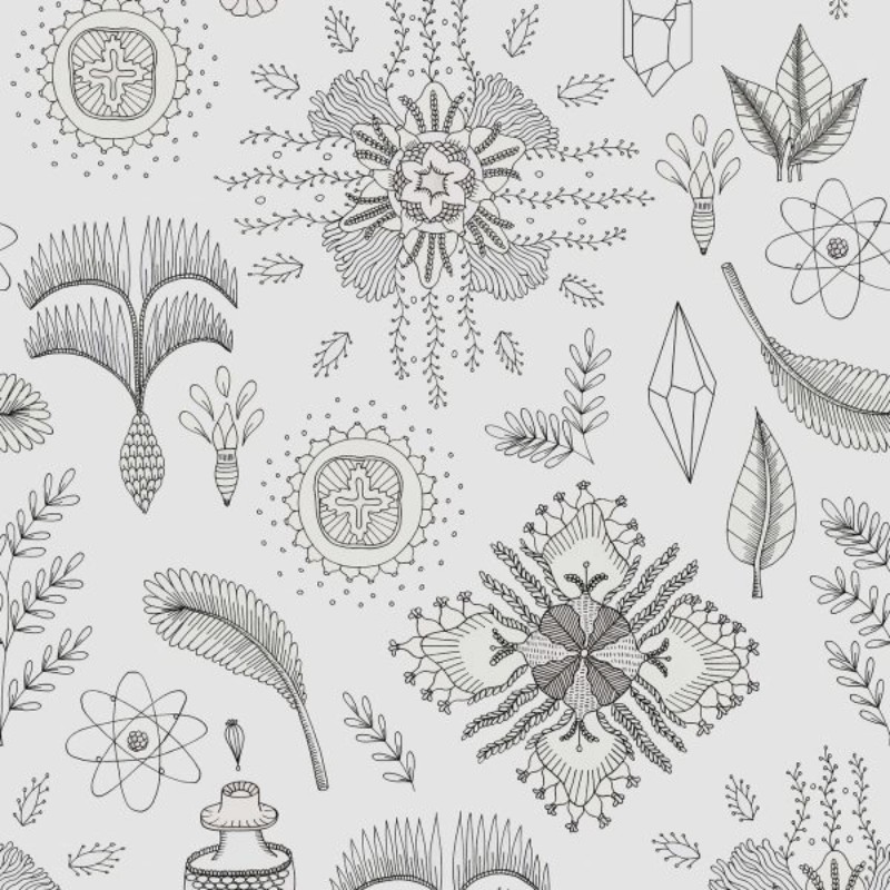 Picture of Anima - 5900051