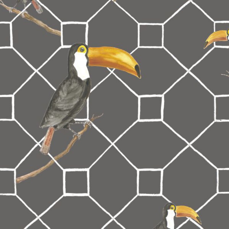 Picture of Anima - 5900030