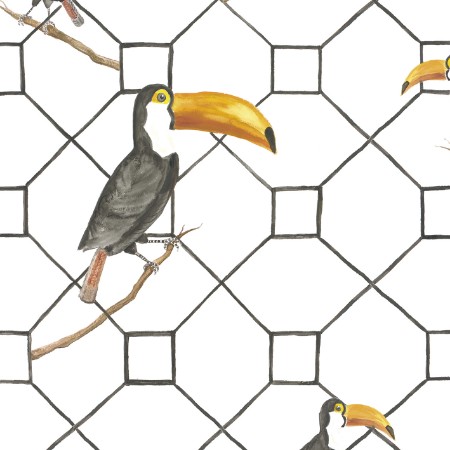 Picture of Anima - 5900029