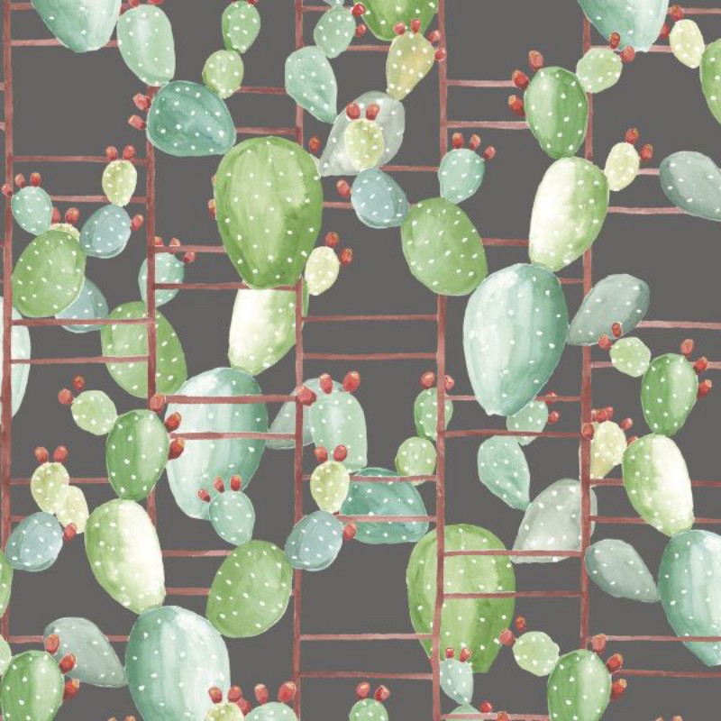 Picture of Anima - 5900024