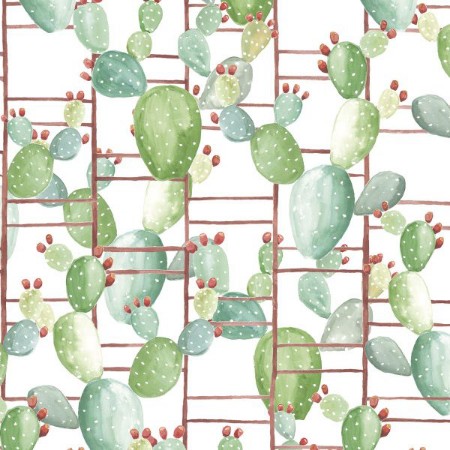 Picture of Anima - 5900023