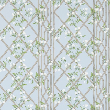 Picture of Jasmine Lattice - ZWOO311332