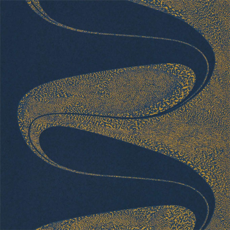 Image de D'arcy - ZTOT312740