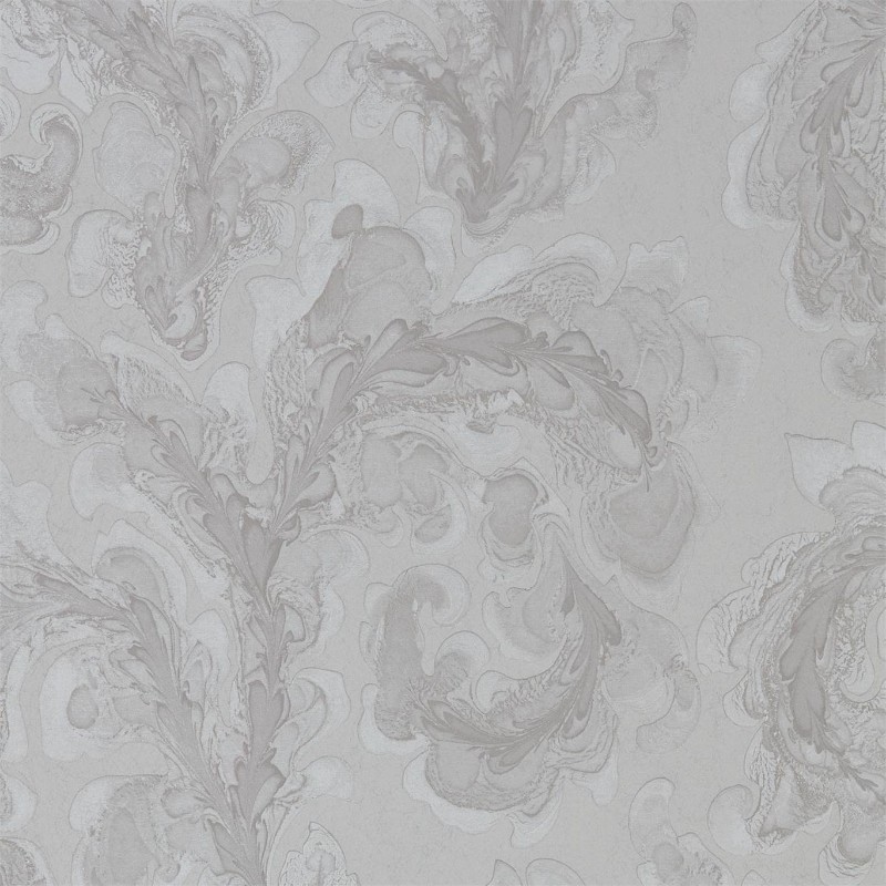 Picture of Acantha - ZPHA312616