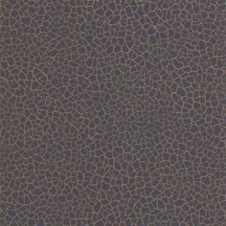 Picture of Cracked Earth - ZSEI312838