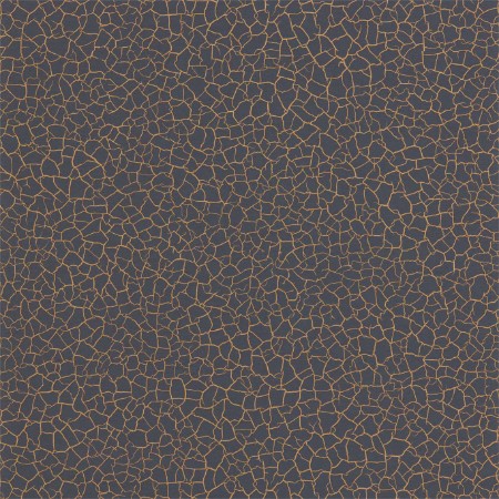 Picture of Cracked Earth - ZSEI312838