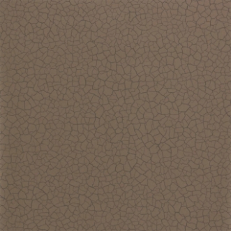 Picture of Cracked Earth - ZSEI312836