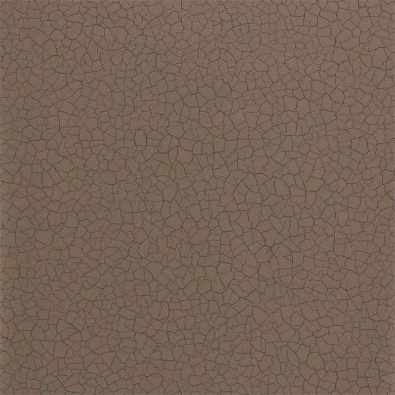 Image de Cracked Earth - ZSEI312836