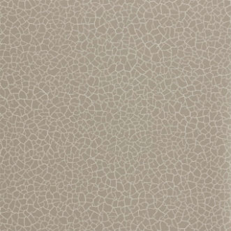 Bild på Cracked Earth - ZSEI312835