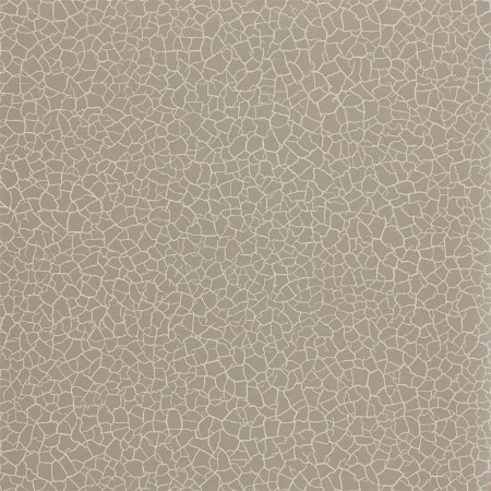 Picture of Cracked Earth - ZSEI312835