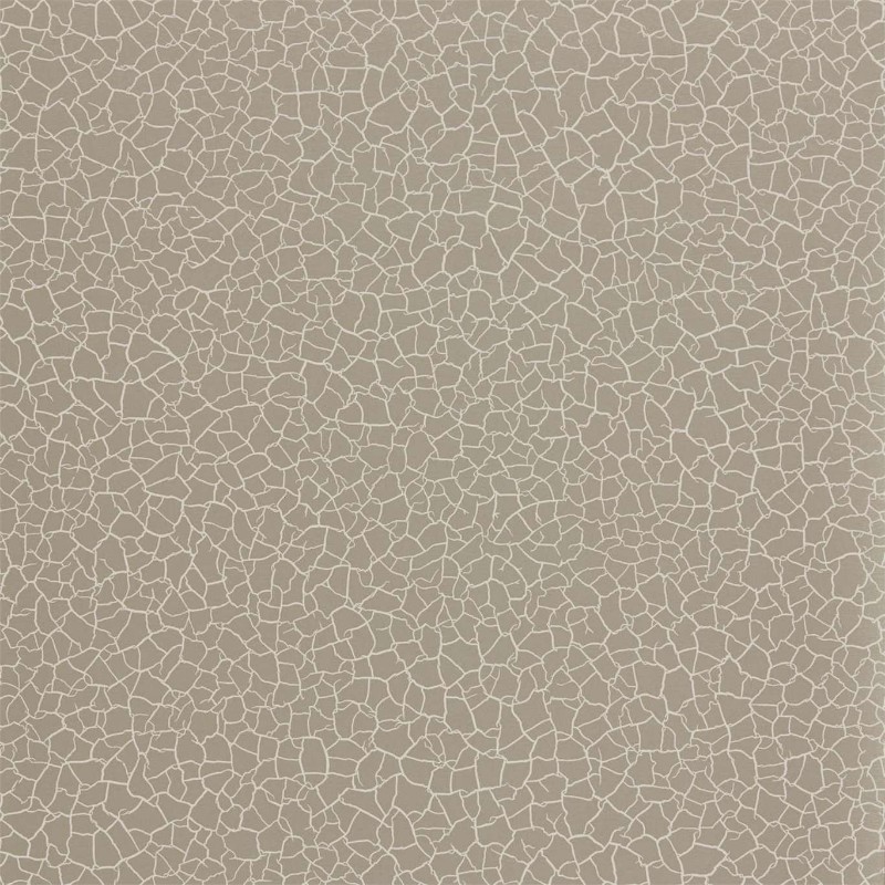 Picture of Cracked Earth - ZSEI312835