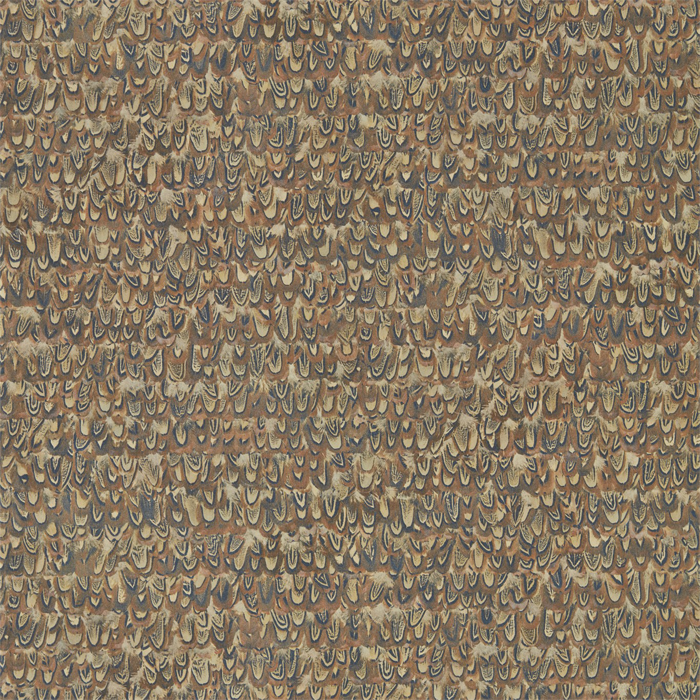 Picture of Icarus - ZKEM312674