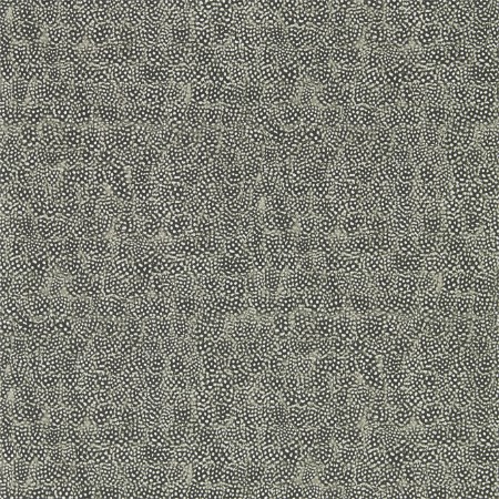 Picture of Guinea - ZKEM312650