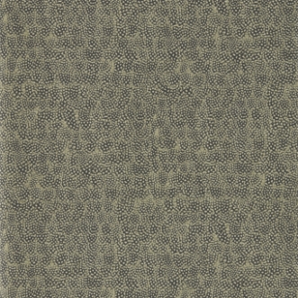 Picture of Guinea - ZKEM312649