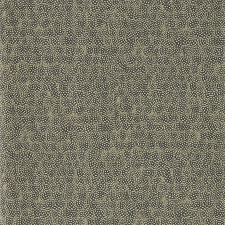 Picture of Guinea - ZKEM312649