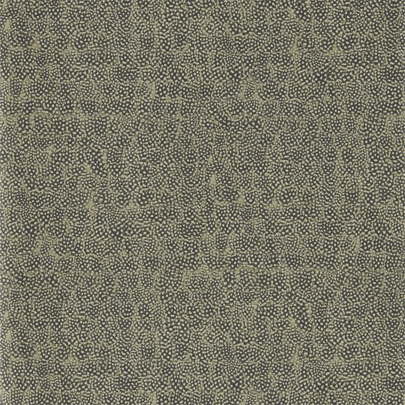 Picture of Guinea - ZKEM312649