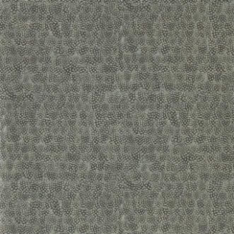 Picture of Guinea - ZKEM312648