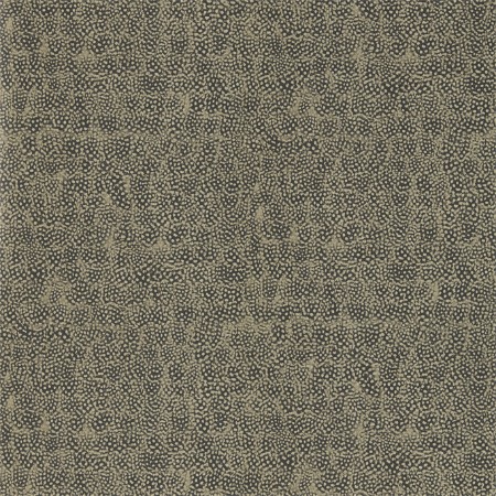 Picture of Guinea - ZKEM312647