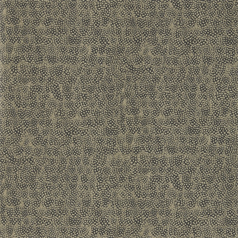 Picture of Guinea - ZKEM312647