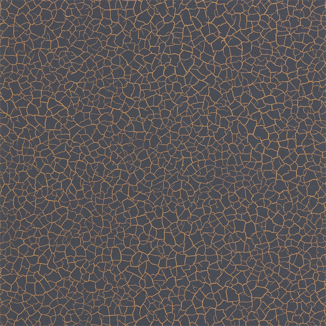 Picture of Cracked Earth - ZAKA312531