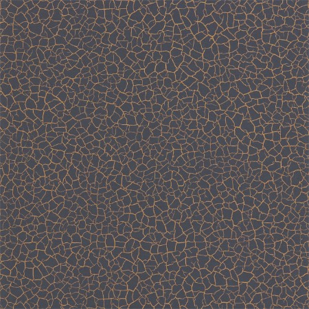 Picture of Cracked Earth - ZAKA312531