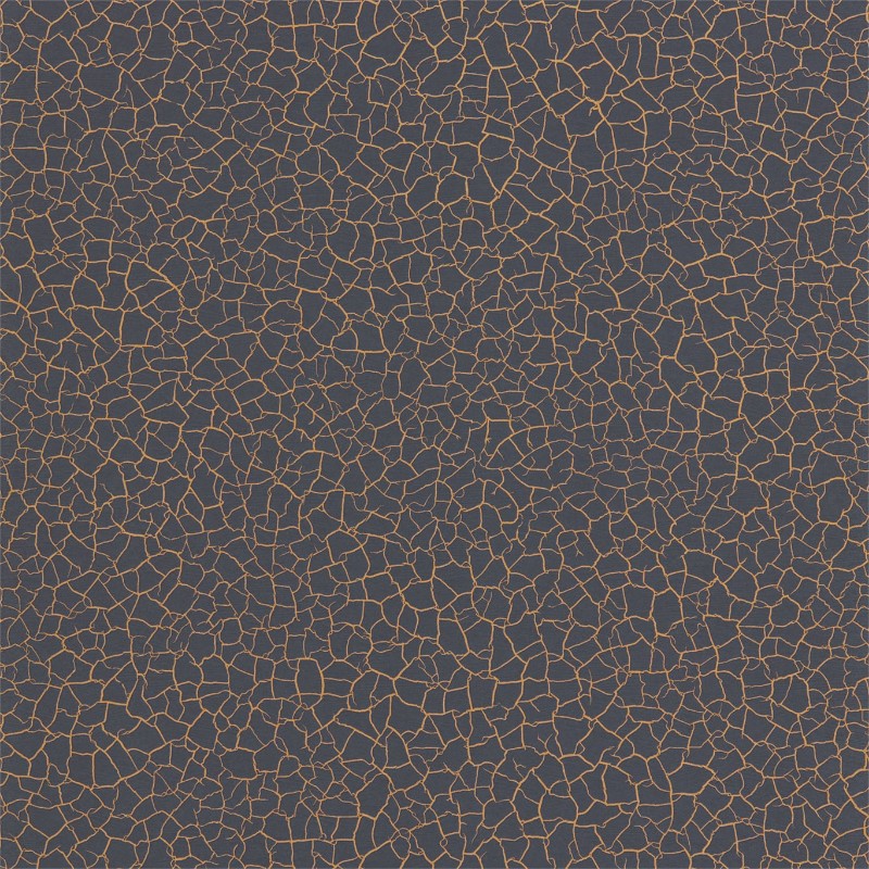 Picture of Cracked Earth - ZAKA312531