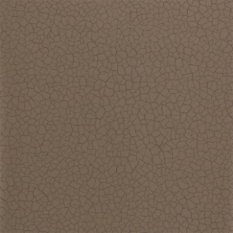 Picture of Cracked Earth - ZAKA312529