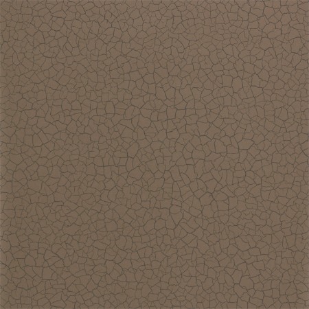 Picture of Cracked Earth - ZAKA312529