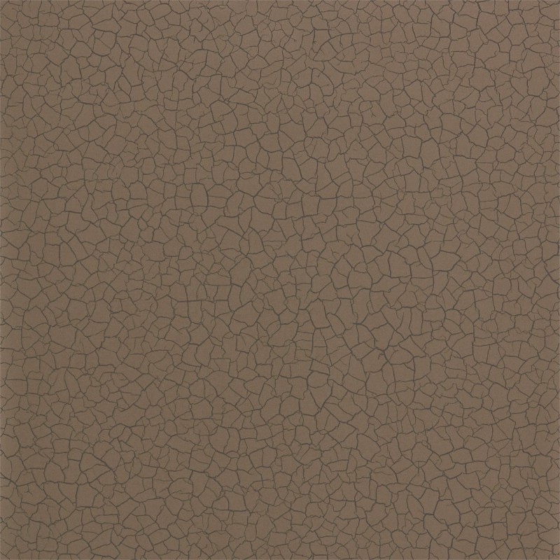 Picture of Cracked Earth - ZAKA312529