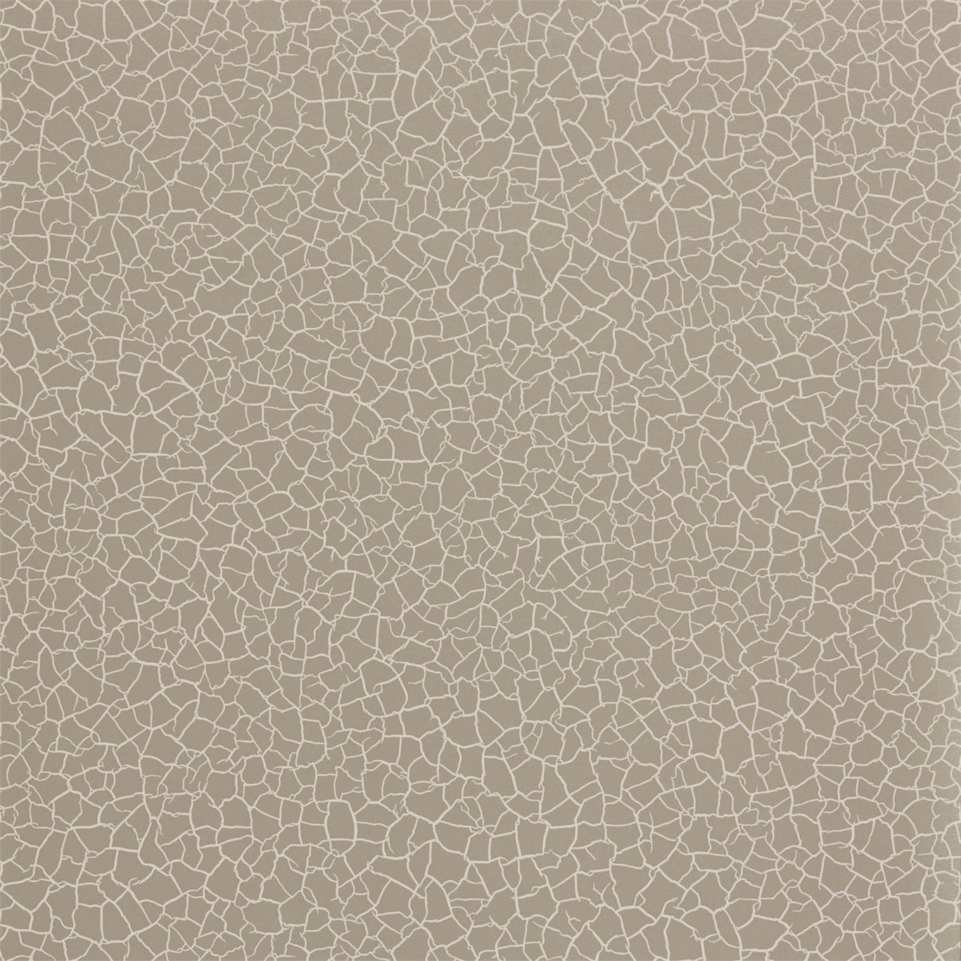 Picture of Cracked Earth - ZAKA312528