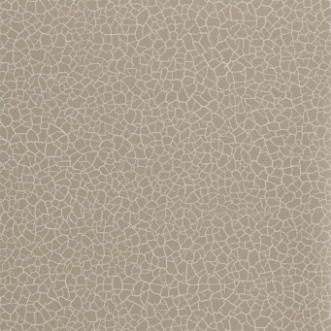 Picture of Cracked Earth - ZAKA312528