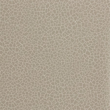 Picture of Cracked Earth - ZAKA312528