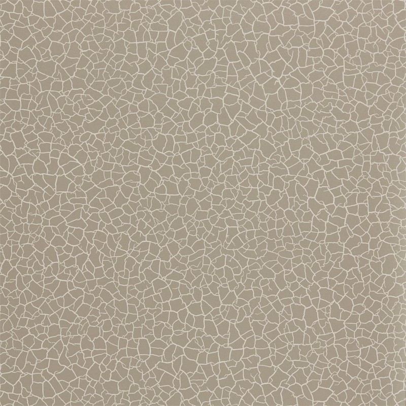 Picture of Cracked Earth - ZAKA312528