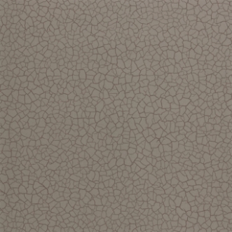 Picture of Cracked Earth - ZAKA312527