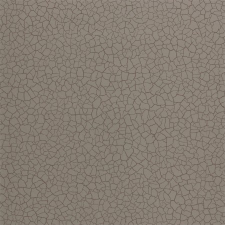 Picture of Cracked Earth - ZAKA312527