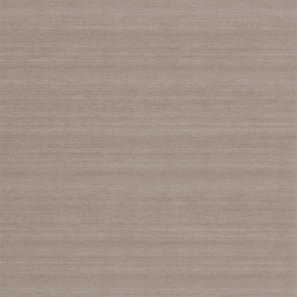 Picture of Raw Silk - ZAKA312520