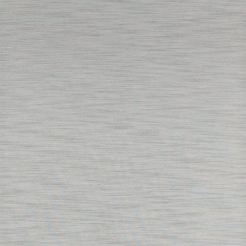 Image de Rushes - ZAKA312494