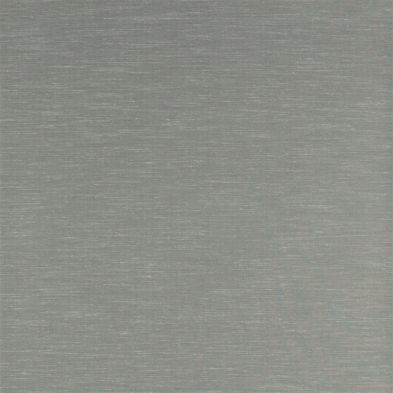 Image de Rushes - ZAKA312493