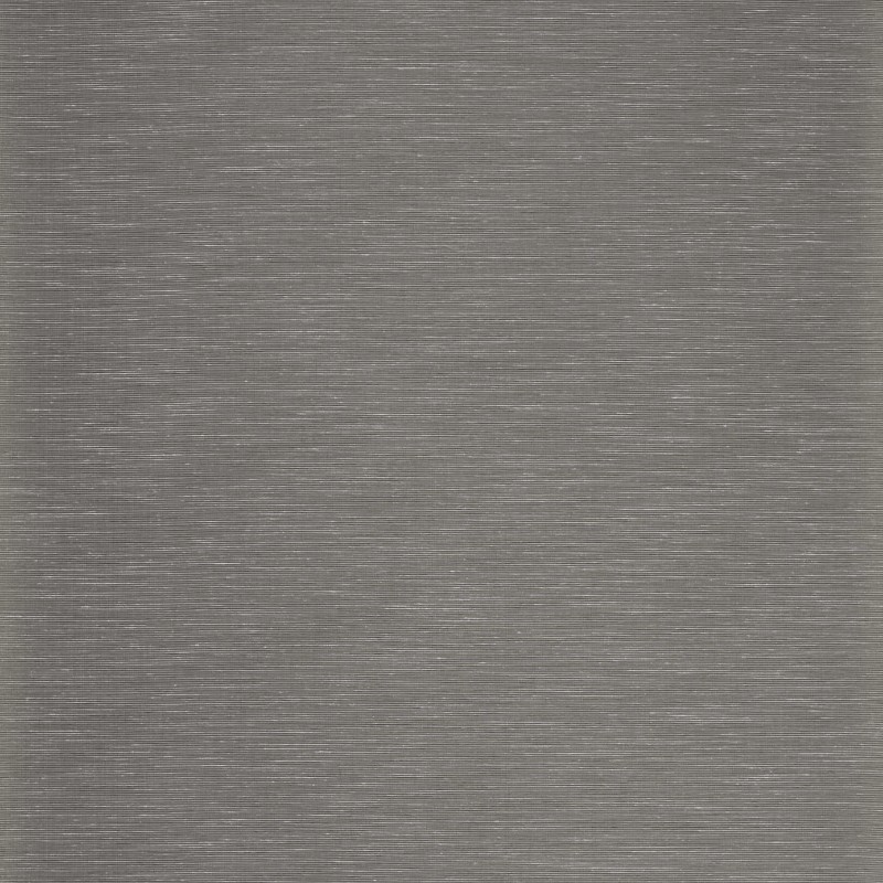 Picture of Rushes - ZAKA312491